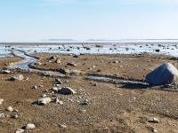 Metsamarja - B&B Rässa