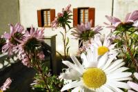 Le gite de cals haut - B&B