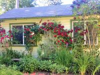 Charming Garden Cottage - Bed and Breakfast Eugene