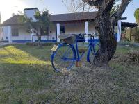 Monte das Laranjeiras - B&B