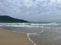 Casa Mango 1 - Bed and Breakfast Cam Lâm