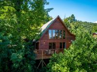 Black Bear Lodge - B&B
