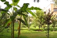 Ilafe Farmhouse, Villa avec Piscine Chauffée Privée et Jacuzzi pour Familles - B&B