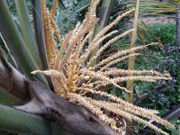 Allan Guest Mirissa - Ferienwohnung Bandaramulla