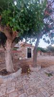 200 year old 'Kamara Suite' with private garden - B&B