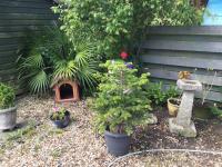 The Seagulls 3 Bedroom House with Parking Weymouth - Chambres d’hôtes Weymouth