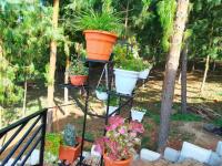 Jegestal Serenity Homestay Camping and Tours - B&B Lushoto