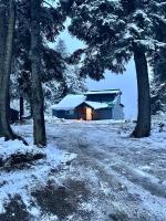 Paradise Suites The Wolf Den - Ferienwohnung Homer