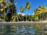 Bungalow enchanteur à Saint-Pierre avec vue sur la mer et jardin - Ferienwohnung Saint-Pierre