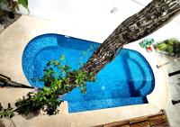 villa tucanes 5 BDR 10 PPL - B&B Tulum