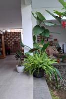 Bring In House Yogyakarta - B&B