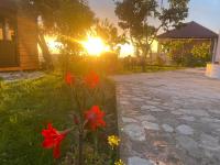 Meti guest house - B&B