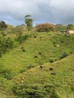 Kebi Hospedaje - B&B