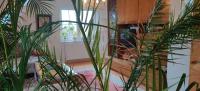 Schöne Ferienwohnung bei Berlin - Ferienwohnung Sommerswalde