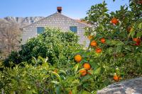 Villa Adriana - Zupa Dubrovacka -Dubrovnik - Ferienwohnung