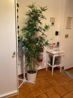 Tower Pisa apartment - Bed and Breakfast