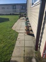 Trecco bay birch - B&B Newton