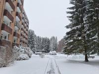Luxus-Wohnung am Nationalpark Harz für Aktivurlaub - B&B