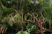 Aflora Jewel Designer Studio - B&B Tulum