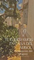Casa del arbol hostel - B&B