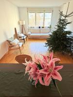 Very nice flat 80 meter from SBB - B&B