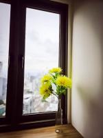 Apartamento de 1 dormitorio