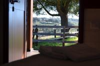 Doppel-/Zweibettzimmer mit eigener Terrasse