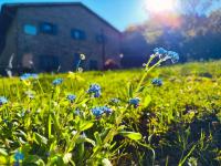 casa al taverni - Chambres d’hôtes Falciano