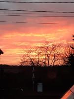 Le Coeur de Nos Racines - B&B Grez-Doiceau