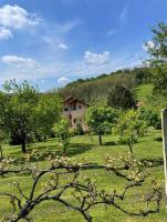 Green Home - B&B