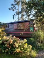 La Roulotte du Verger - B&B Barneville-sur-Seine