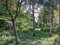 Gîte de Vallonchêne - Bed and Breakfast Sommery