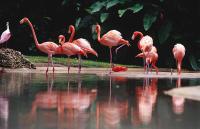 Appartamento - Piano Terra