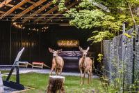 Log Cabin with King Bed and Hot Tub - B&B