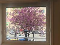 Superior Kamer met Kingsize Bed