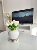Queen Apartman - B&B