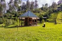 Northwood Gardens And Adventure Park - B&B