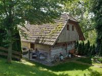 Nussbaumerhof - Ferienwohnung Sankt Michael am Bruckbach