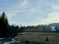 Pensjonat Leśniczówka Zieleniec - Ferienwohnung Bad Reinerz