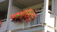Apartment Valdisole - Chambres d’hôtes