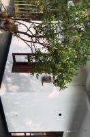 VILLA ELEGANT - Weligama - Ferienwohnung Weligama