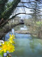 Ô Vieux Moulin - B&B Duras