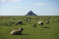 Au Mont De La Rive #Jaccuzi et Mont-Saint-Michel # - Chambres d’hôtes Pontorson