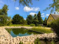 Reetdachhaus Möwe mit Schwimmteich in Krienke - B&B
