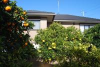 Minoaku Orange Garden - Vacation STAY 18601 - Ferienwohnung