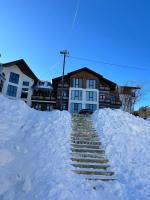 Didveli rezidens - Chambres d’hôtes Bakuriani