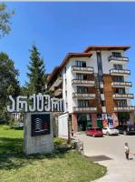 Didveli rezidens - Chambres d’hôtes Bak’uriani