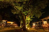 Muribushi-PLUS Gramping TENT - B&B Motobu