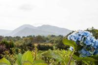 Mountain View B&B - B&B Lauragh