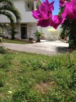 La Cocoteraie 2 - B&B Sainte-Anne